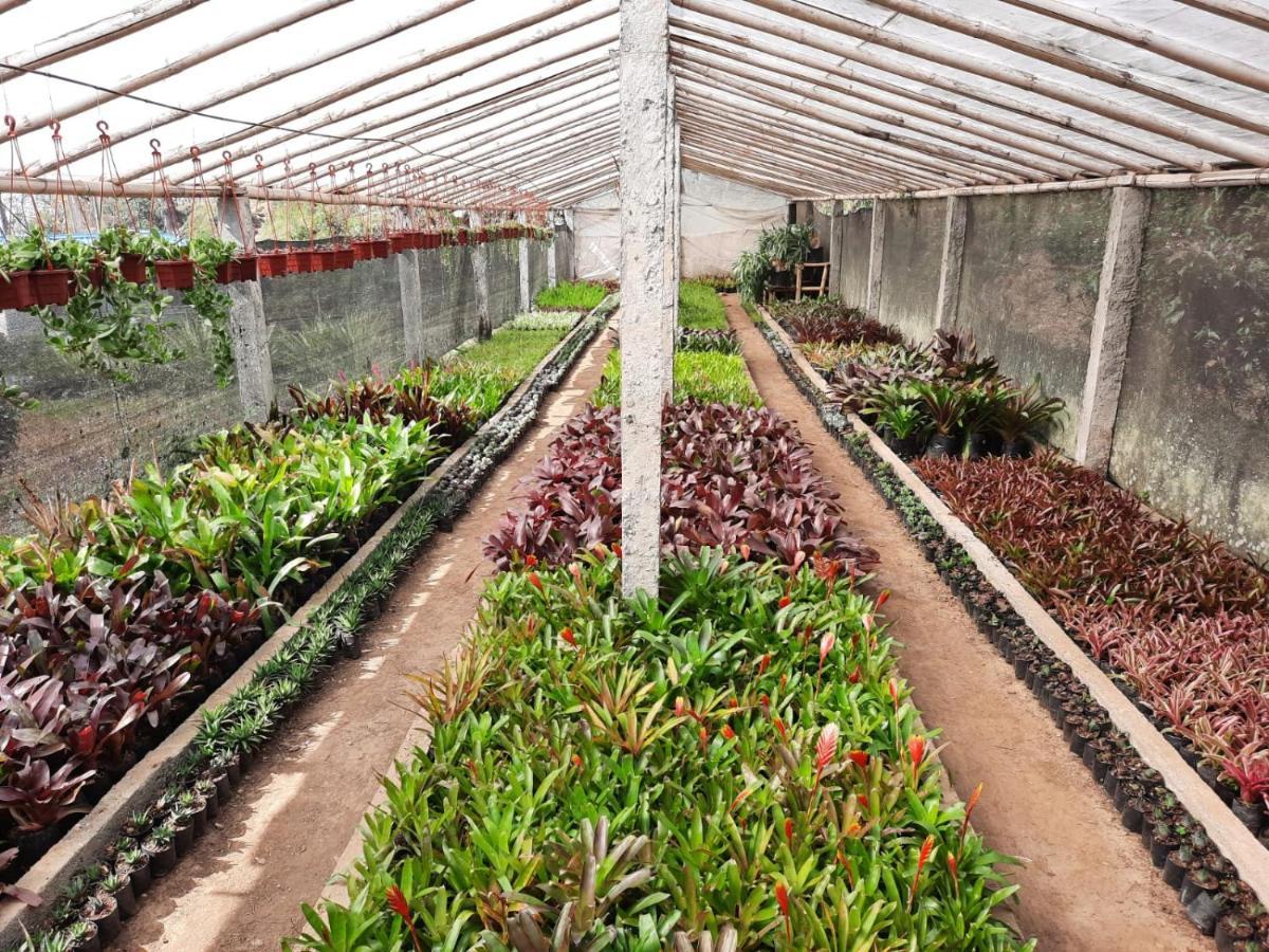 Aaravi Garden Homestay Kalimpong Eksteriør billede