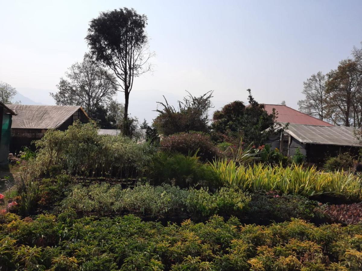 Aaravi Garden Homestay Kalimpong Eksteriør billede
